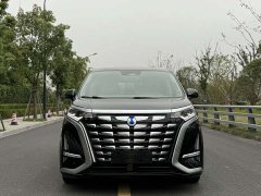 Denza D9 DM-i 970 AWD Flagship - ფოტო 3