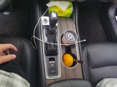 Nissan Teana 2.0L XL Comfort - ფოტო 16