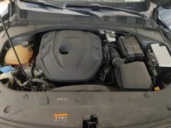Geely Xingrui 2.0T Diesel Luxury - ფოტო 10