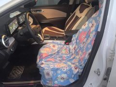 Chevrolet Cruze 1.5L Dual-Clutch Deluxe Edition - ფოტო 9