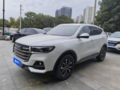 Haval H6 National Trend Edition 1.5T Automatic Urban Version - ფოტო 1