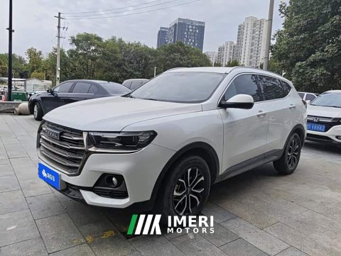 2021 Haval H6 National Trend Edition 1.5T Automatic Urban Version - ავტომობილი ჩინეთიდან