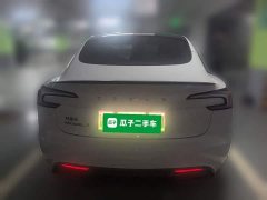 Tesla Model 3 Rear-Wheel Drive - photo 3