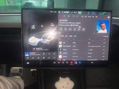 Tesla Model 3 Rear-Wheel Drive - photo 9