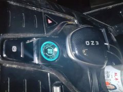 BYD Yuan Plus DM-i 215km Range AWD Flagship - ფოტო 16