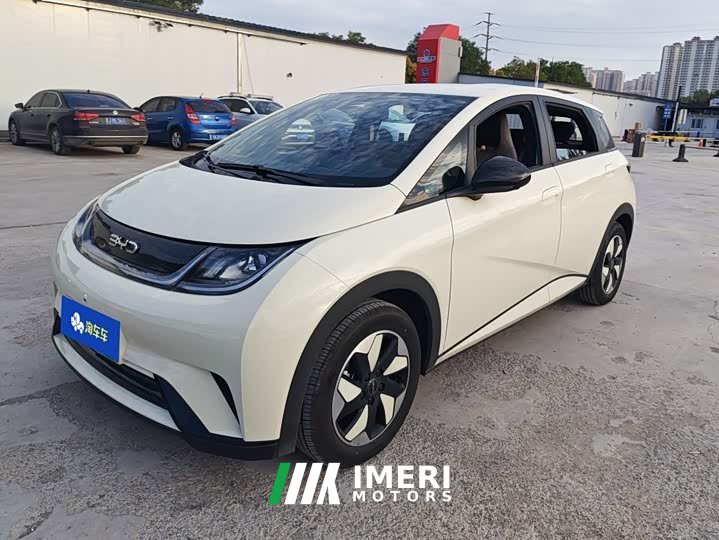 BYD Dolphin 420km Freedom Edition - ავტომობილი ჩინეთიდან