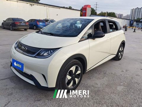 2026 BYD Dolphin 420km Freedom Edition - ავტომობილი ჩინეთიდან
