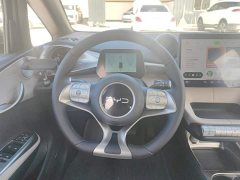 BYD Dolphin 420km Freedom Edition - ფოტო 15