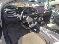 BYD Destroyer 05 Glory Edition DM-i 55KM Luxury - ფოტო 12