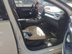 BYD Destroyer 05 Glory Edition DM-i 55KM Luxury - ფოტო 8