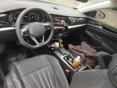 Volkswagen Passat 380TSI Starry Sky Dragon Ascendant Edition - ფოტო 12