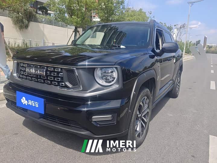 Haval Big Dog PLUS 2.0T Two-Wheel Drive Trendy Wilderness Edition Plus - ავტომობილი ჩინეთიდან