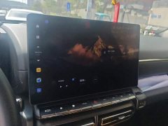 Haval Big Dog PLUS 2.0T Two-Wheel Drive Trendy Wilderness Edition Plus - ფოტო 13