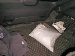 Geely Xingyue L 2.0TD DCT EVO FWD Long Wind Edition - ფოტო 4