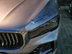 Geely Xingyue L 2.0TD DCT EVO FWD Long Wind Edition - ფოტო 5
