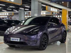 Tesla Model Y Long Range All-Wheel Drive - ფოტო 1