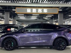 Tesla Model Y Long Range All-Wheel Drive - ფოტო 3