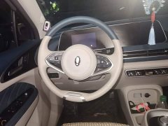 ORA Good Cat 400km Standard Range Athena Edition Ternary Lithium - ფოტო 11