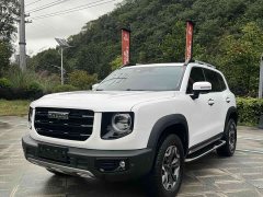 Great Wall Dachshund 2.0T DCT Four-Wheel Drive Howling Celestial Dog Edition - ფოტო 1