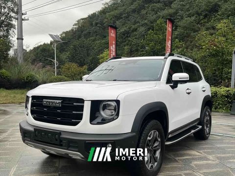 2022 Great Wall Dachshund 2.0T DCT Four-Wheel Drive Howling Celestial Dog Edition - ავტომობილი ჩინეთიდან