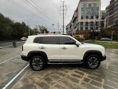 Great Wall Dachshund 2.0T DCT Four-Wheel Drive Howling Celestial Dog Edition - ფოტო 10