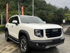 Great Wall Dachshund 2.0T DCT Four-Wheel Drive Howling Celestial Dog Edition - ფოტო 2