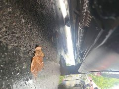 BYD Qin L DM-i 120KM Leading Edition - ფოტო 18