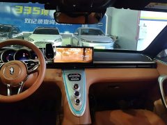 ORA Lightning Cat 555km Deluxe Edition - ფოტო 13