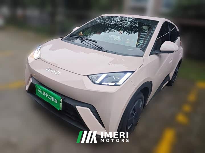 BYD Seagull 305km Vitality Edition - ავტომობილი ჩინეთიდან