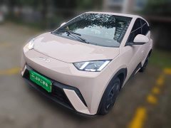 BYD Seagull 305km Vitality Edition - ფოტო 1