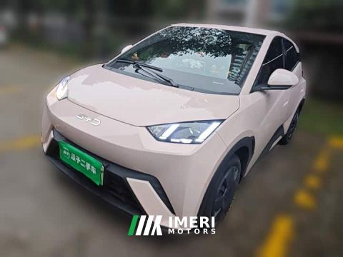 2025 BYD Seagull 305km Vitality Edition