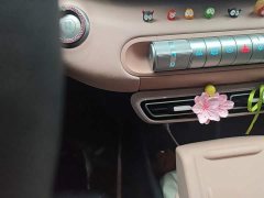 BYD Seagull 305km Vitality Edition - ფოტო 10