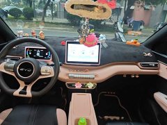 BYD Seagull 305km Vitality Edition - ფოტო 5