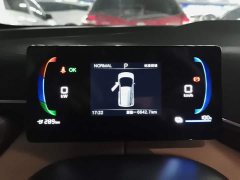 BYD Seagull 305km Freedom Edition - ფოტო 13