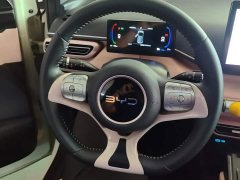 BYD Seagull 305km Freedom Edition - ფოტო 14