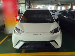 BYD Seagull 305km Freedom Edition - ფოტო 2