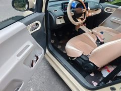 Changan Lumin 205km Xiangqin Edition - ფოტო 12