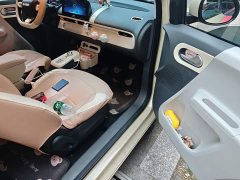 Changan Lumin 205km Xiangqin Edition - ფოტო 19