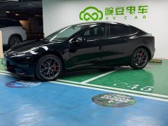 Tesla Model 3 Performance All-Wheel Drive - ფოტო 6