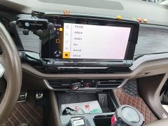 Volkswagen Viloran 380TSI Zunchi Edition - ფოტო 14