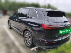 Volkswagen Viloran 380TSI Zunchi Edition - ფოტო 4