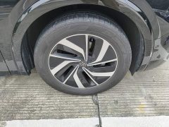 Volkswagen Viloran 380TSI Zunchi Edition - ფოტო 8