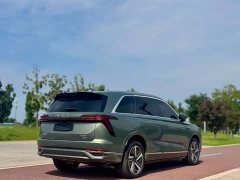 Great Wall WEY Blue Mountain Four-Wheel Drive Max - ფოტო 9