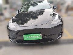 Tesla Model Y Facelift Rear-Wheel Drive - ფოტო 2