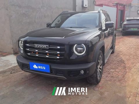 2021 Great Wall Dachshund 1.5T DCT Two-Wheel Drive Border Collie Edition - ავტომობილი ჩინეთიდან