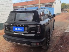 Great Wall Dachshund 1.5T DCT Two-Wheel Drive Border Collie Edition - ფოტო 3