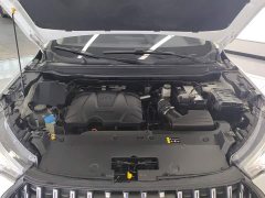 Haval Chitu Jingxiang Edition 1.5T Purple Copper Rabbit - ფოტო 10