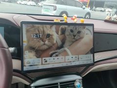 BYD Seal DM-i 1.5L 121km Luxury - ფოტო 13