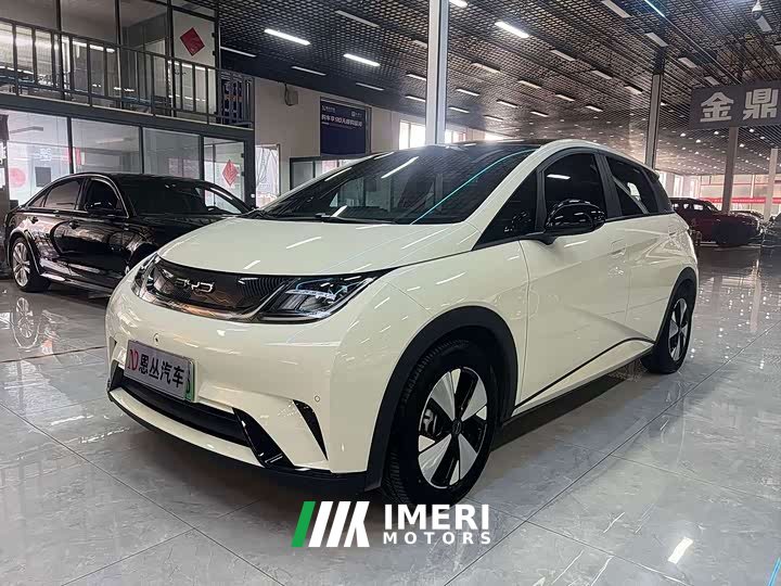 BYD Dolphin 420km Fashion Edition - ავტომობილი ჩინეთიდან