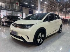 BYD Dolphin 420km Fashion Edition - ფოტო 1